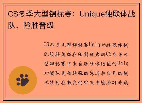 CS冬季大型锦标赛：Unique独联体战队，险胜晋级