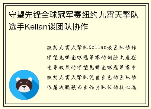 守望先锋全球冠军赛纽约九霄天擎队选手Kellan谈团队协作