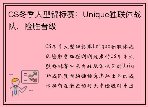 CS冬季大型锦标赛：Unique独联体战队，险胜晋级